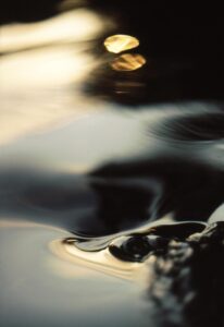 既卒が就活で早く就職する方法とは？