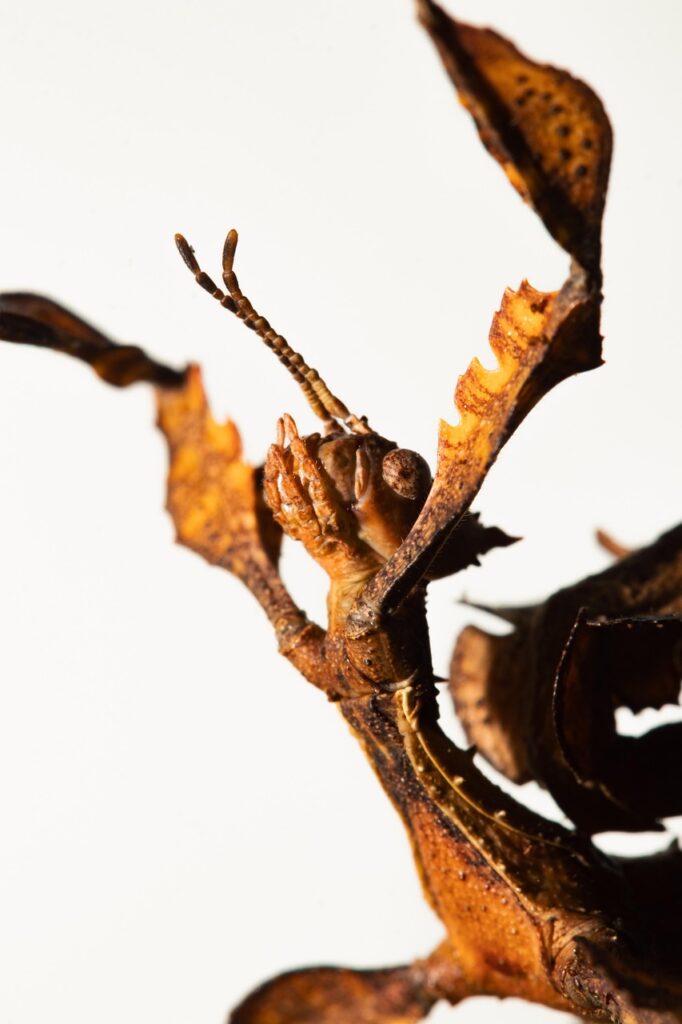 既卒の就活でよくある悩みとその解決策は？