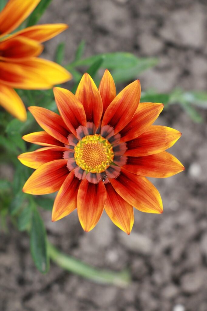 既卒の就活で正社員までの期間を短縮する方法は？