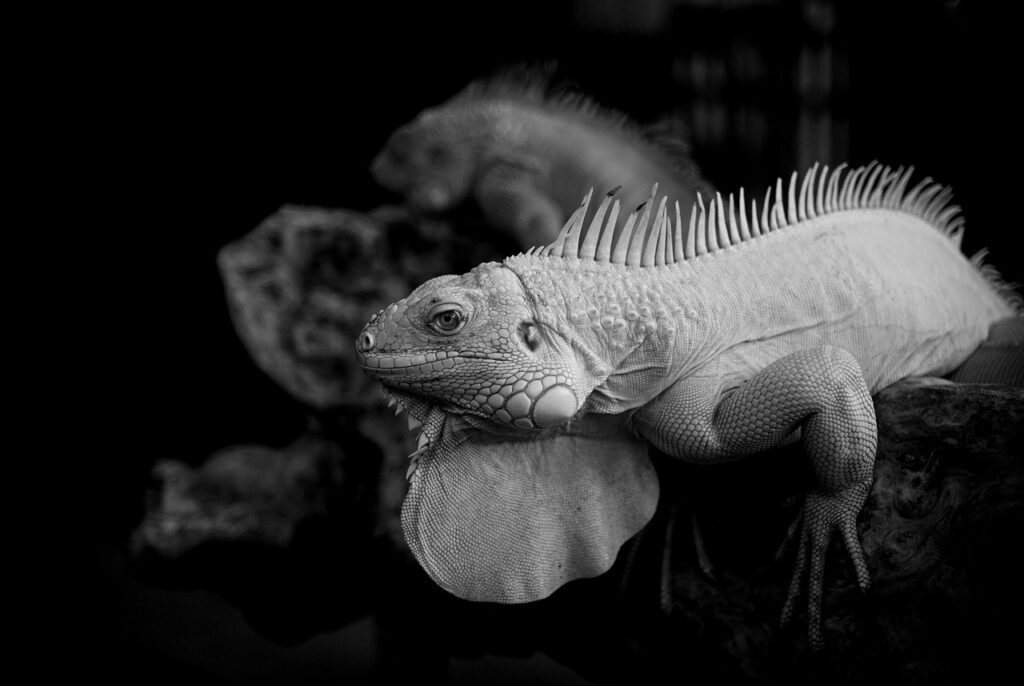 既卒の就活に役立つ内定保証サービスとは？