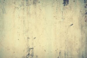 既卒の就活に関する悩みを解決する相談掲示板は？