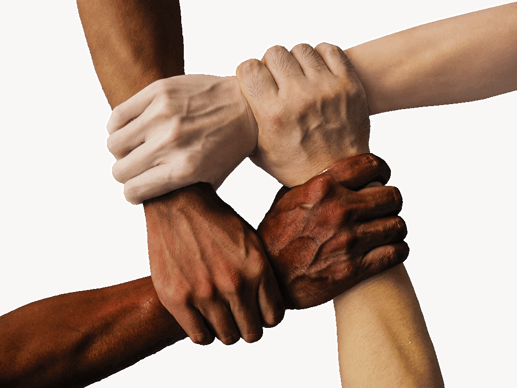 既卒の就活サポート実績はどのようなものがありますか？