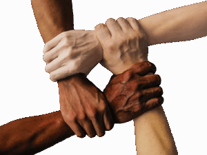 既卒の就活サポート実績はどのようなものがありますか？