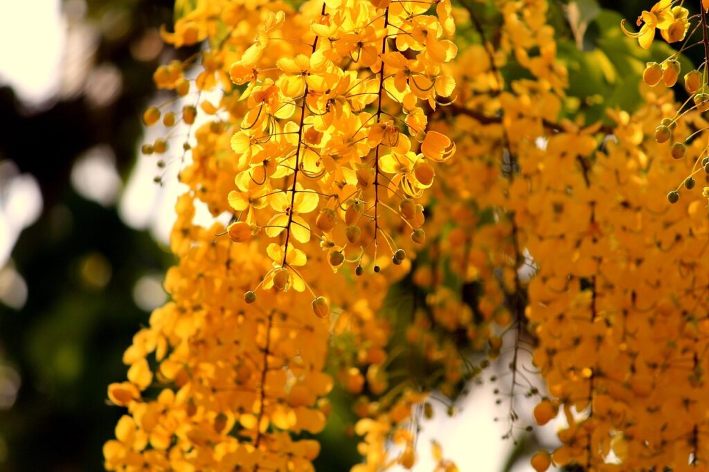 既卒が就活で成長企業を見つけるためのポイントは？