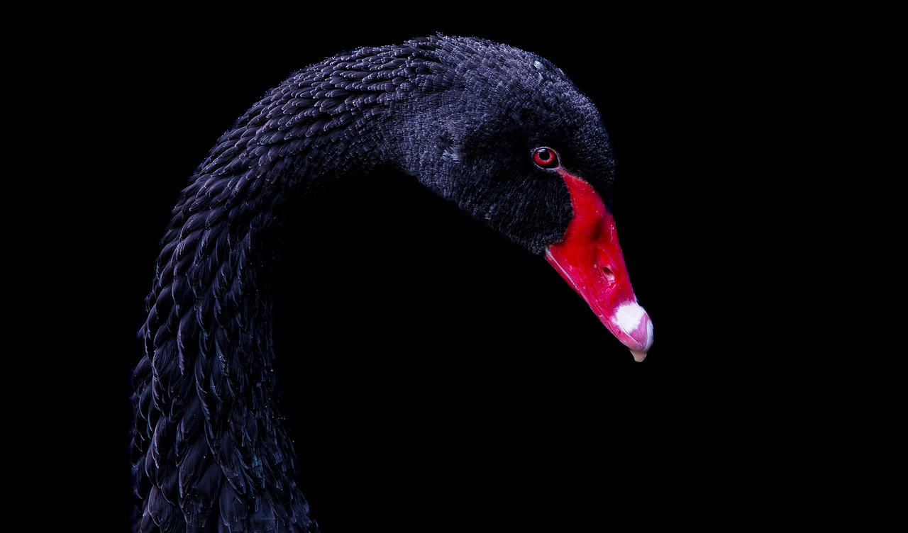 既卒の就活でブラック企業を避ける方法は？