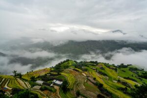 既卒の就活で成功するためのステップは？