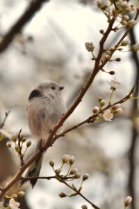 既卒の就活における中小企業のメリットとは？