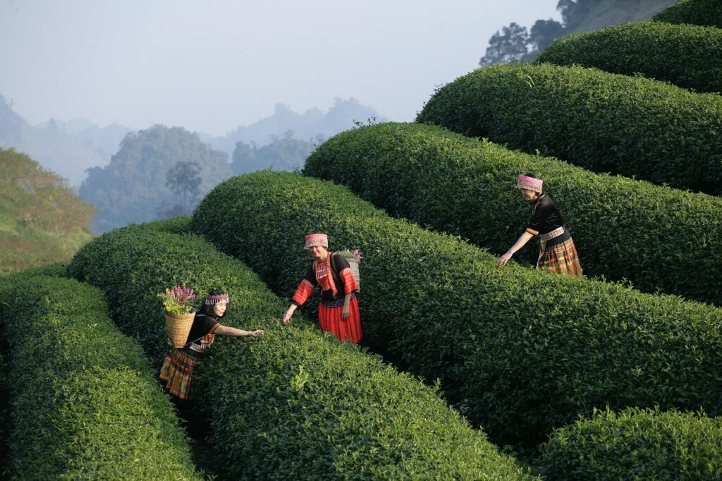 既卒の就活でアルバイト経験しかない場合、どうアピールすれば良い？