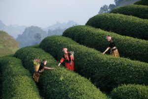 既卒の就活でアルバイト経験しかない場合の成功の秘訣は？