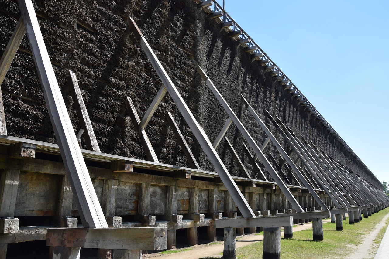既卒の就活で不採用続きの時に試すべき対策は？