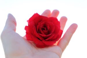 既卒の就活で内定もらえない理由とその対策は？