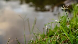 既卒の就活で効果的な自己PRの作り方は？