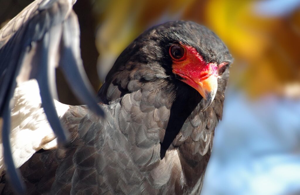 既卒の就活における短期離職は不利になるのか？