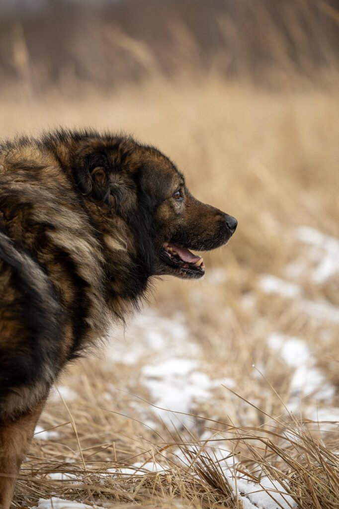 既卒でも資格がなくても採用される可能性は？