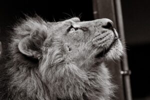 既卒未経験者におすすめの職種一覧は？