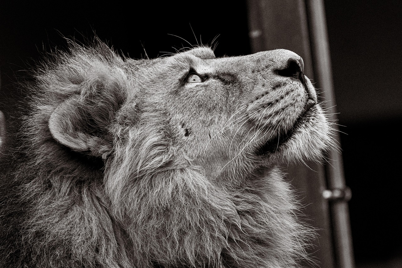 既卒未経験者におすすめの職種一覧は？