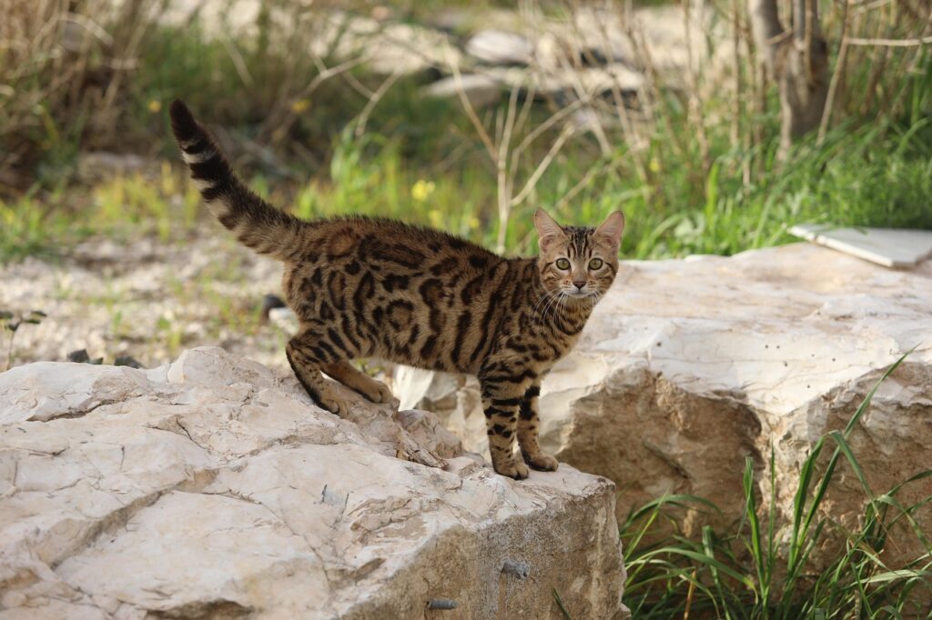 就活で失敗しないための注意点は何？