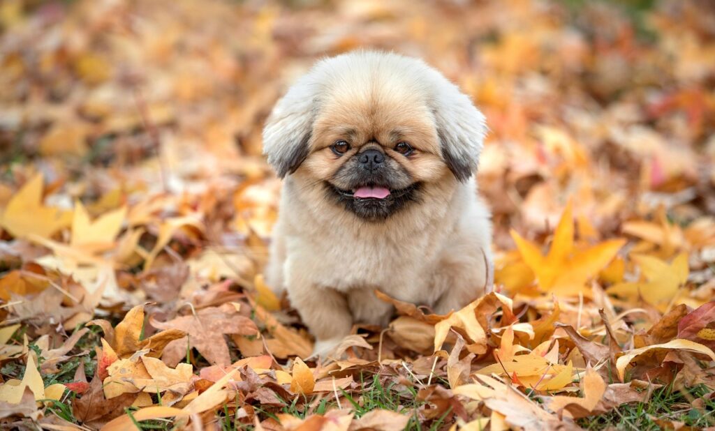 既卒が取得すべき資格はどれがおすすめ？