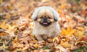 既卒が取得すべき資格はどれがおすすめ？