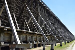 既卒フリーターの就活は本当に成功する？口コミからわかる実態とは？