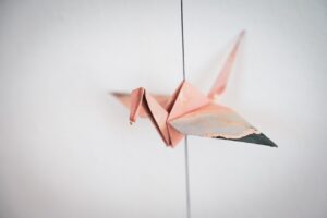 就活で成功するための事例はどれ？