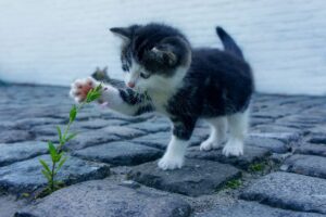 バイトから正社員になるためのステップは？