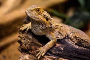 フリーターの就活は本当におすすめしない理由とは？