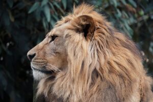 フリーターの就活、どうしたらいい？