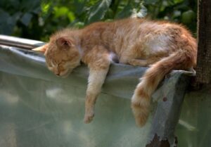 就活でおすすめの失敗を避ける方法は？