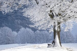 既卒の就活で進路を決めるために知っておくべきポイントは？